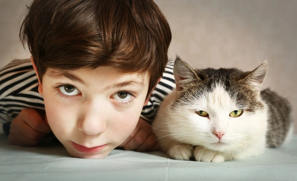 Ten important things that all primary school aged children should know about cats