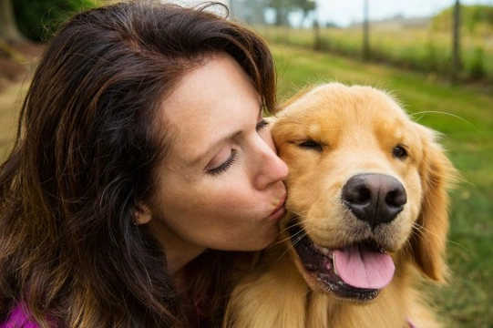 How long will it take for a dog to bond with a new owner?