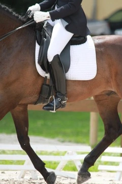 Competing in dressage to music