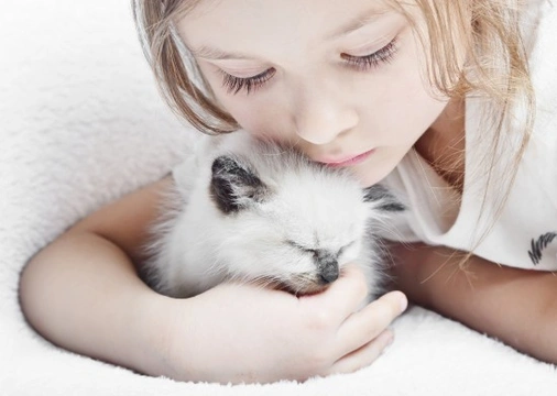Cats and children - When to introduce them?