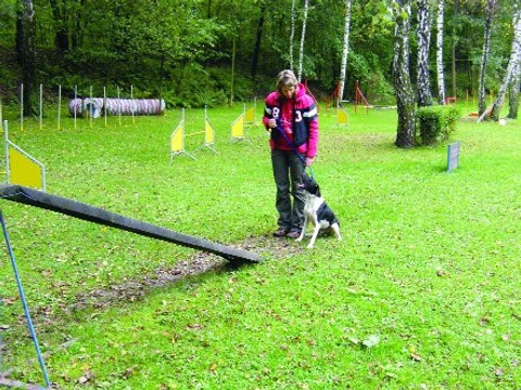 Lávka, kladina, žebřík