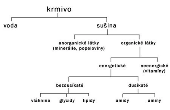 Výživa a krmení astrildovitých pěvců