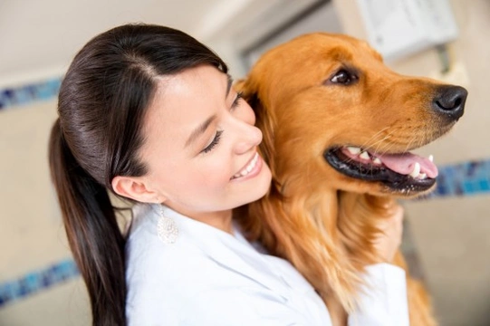 10 Questions Dog Owners Should Ask Vets