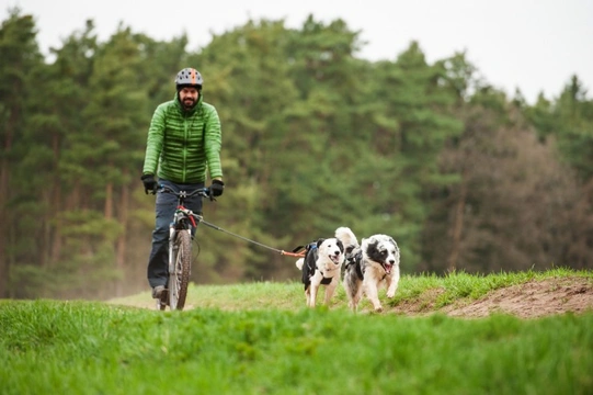 Riding a Bike with Your Dog