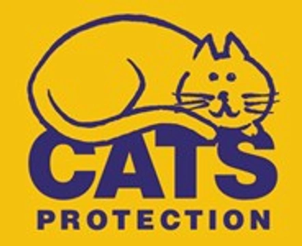 Pets4Homes Supports Cats Protections Campaign for the compulsory microchipping of pet cats