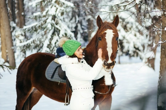 Christmas presents for horse lovers