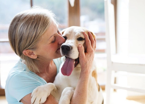 Could you help The Cinnamon Trust in their work with older people and their pets?
