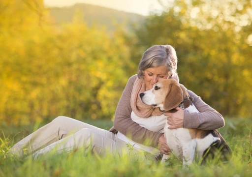 5 Great Dog Breeds to Share Your Retirement Years With