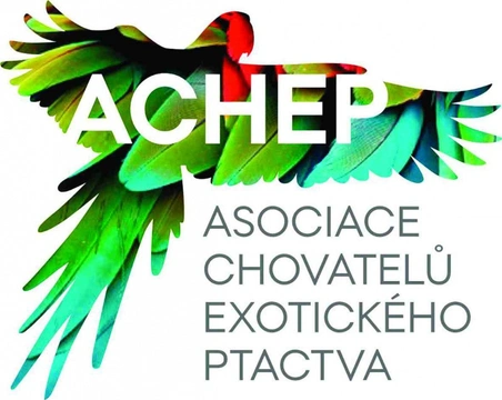 Nová Asociace chovatelů exotického ptactva ACHEP