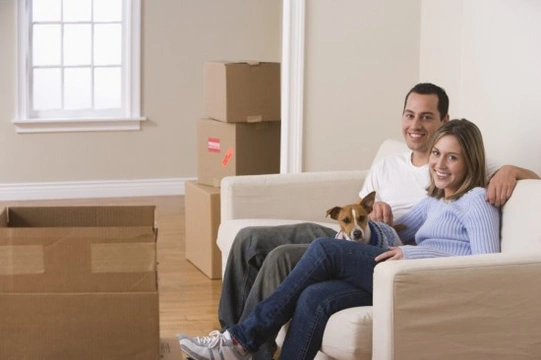 Moving House with Your Dog