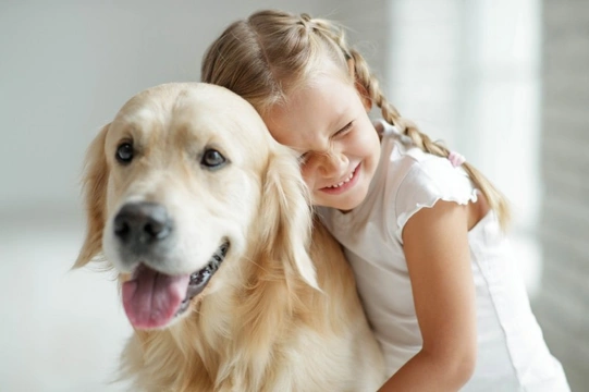 Dogs, children and hygiene: The often-overlooked aspect of keeping children safe around dogs