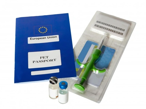 What additional vaccinations might your dog need if you intend to take them to mainland Europe?