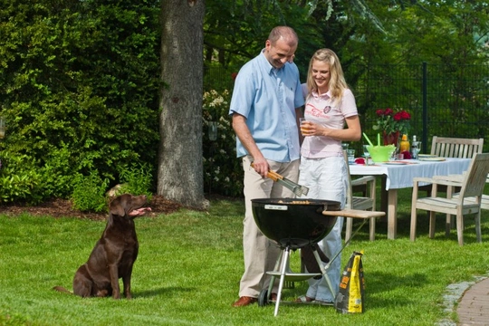Summer safety tips - Your dog and your barbecue