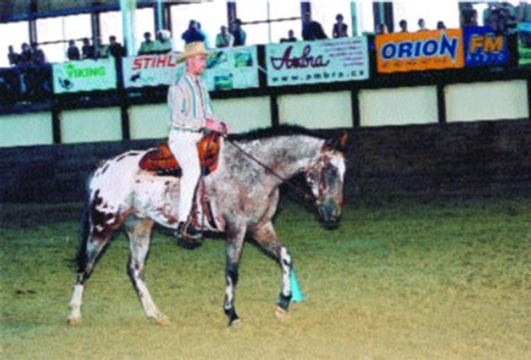 Western horsemanship - 2. část