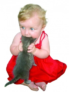 Kočka a dítě