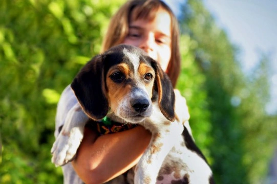 Five important life lessons that children learn from pets