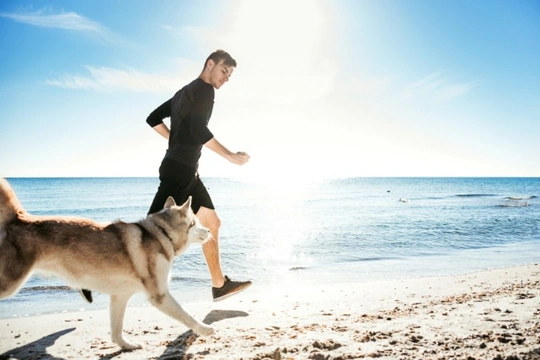 What dog breeds make for good running buddies?