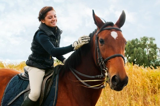 British Horse Society riding instructor grades explained