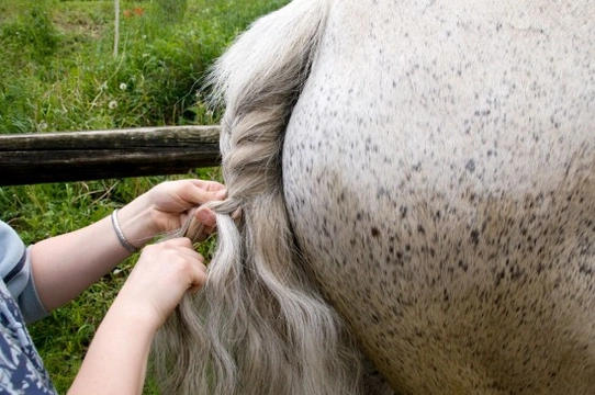 Top tips for plaiting your horse or pony