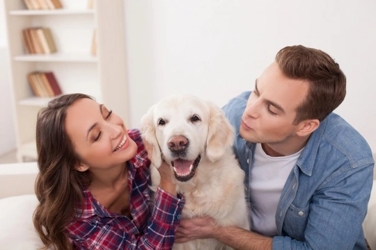 7 things you should agree upon with your partner before buying a dog