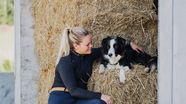 Vägen till rätt foder för Linas aktiva (och kräsna) stallhund Charlie!