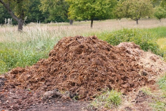 Horse Manure the smelly truth - How the law on waste could get you in a heap of trouble