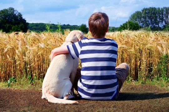 Bonding with your dog - tips and mistakes