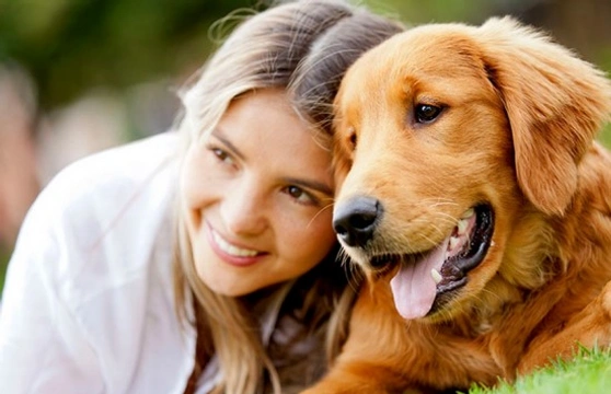 Consejos para ser mejores propietarios de perros