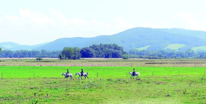 Magické slovo endurance – XXIII. Část