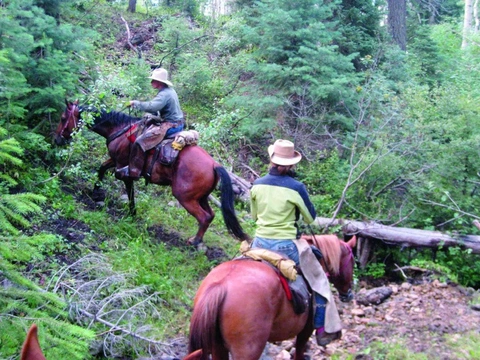 Když jsem jela Coloradem … aneb jak se stát cowgirl