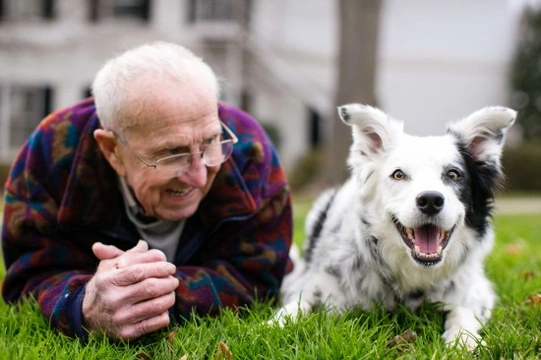 Chaser : The Amazing Border Collie Who Understands 1000 Words & More!