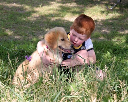 Cómo enseñar a los niños a cuidar de sus mascotas