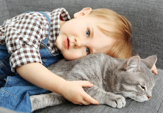Felinoterapie, 4. díl – Kočky přicházejí za klienty