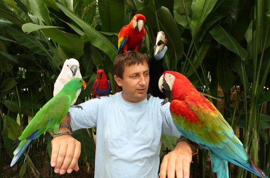 Tajemný svět papoušků: Chováním zvířat se zabývá etologie a kognitivní etologie