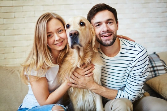 Why and how to decide who would keep the dog if your relationship broke up