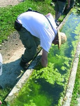 Expediční deník expedice LACERTA – 2, Řecko 2005 – 3. díl