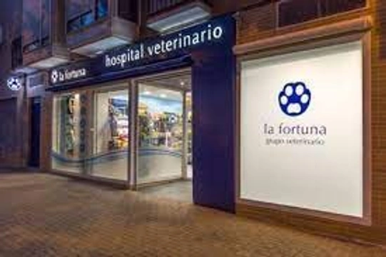 Los mejores veterinarios en Madrid