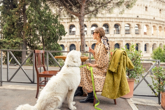 The top dog-friendly city breaks in Europe