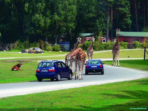 Safaripark Hodenhagen