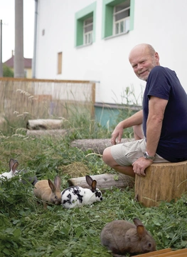 Chov hybridních králíků 5 – dezinfekce, zdravotní prevence