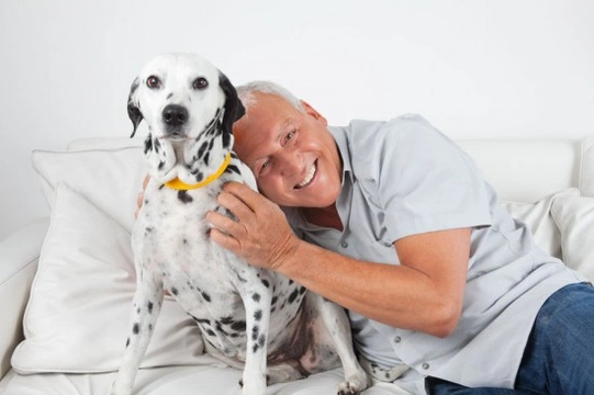 How Pets Improve Our Health