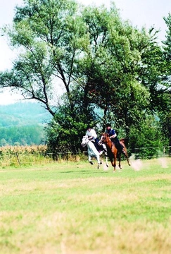 Magické slovo endurance – I. Část