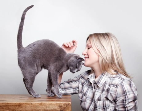 Six signs that you might be a crazy cat lady!