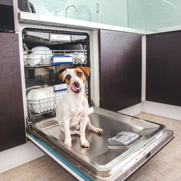 Dishwasher tablets, pods and laundry sachets can pose a risk to your dog’s health