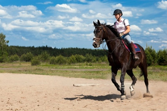 Returning to Horse Riding as an Adult