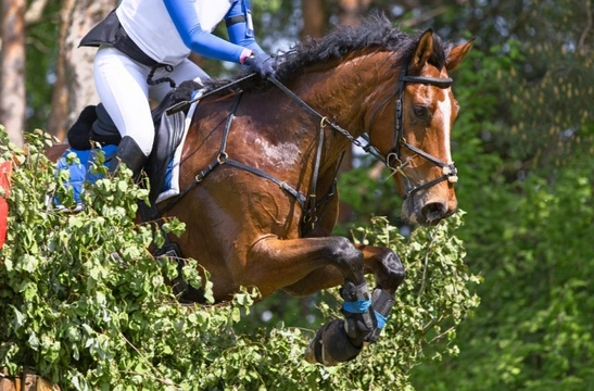 Is this your first season eventing? What to know about British Eventing
