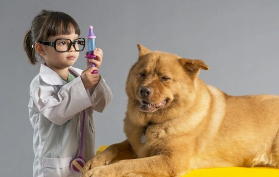 How a Family Dog Can Help a Child's Development