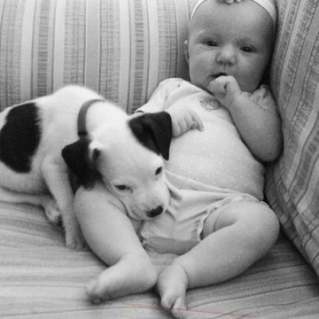 Los dulces sueños de un bebé y un cachorro de Pit Bull
