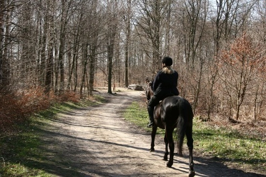 The countryside code for horse riders