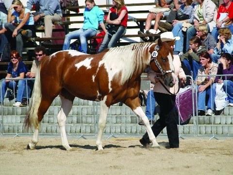 Lysá 2007 ve znamení zábavy a duetů